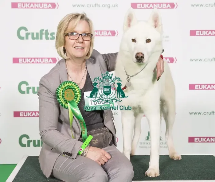 Framed Print : Crufts 2017 Framed Print : Crufts 2017