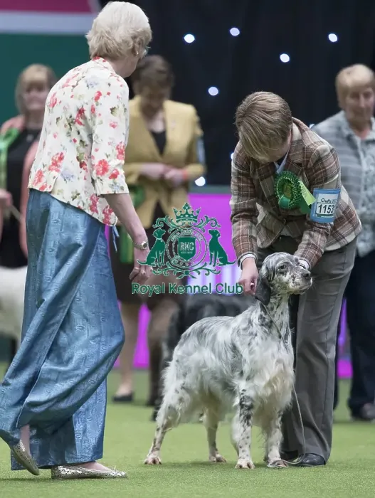 Framed Print : Crufts 2017 Framed Print : Crufts 2017