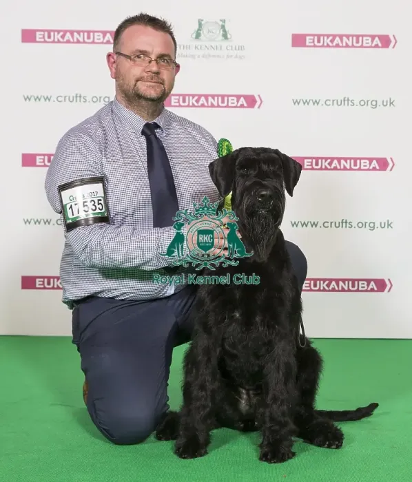 Framed Print : Crufts 2017