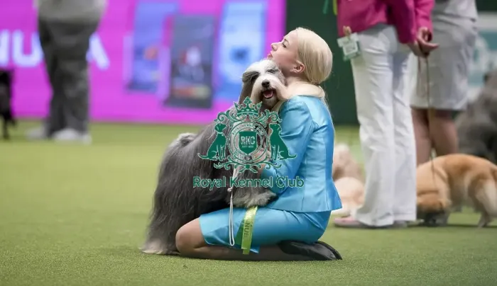 Framed Print : Crufts 2017