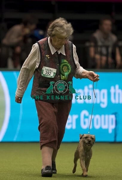 Crufts 2017. Anne Roslin-Williams from Worcestershire with Ling a Border Terrier