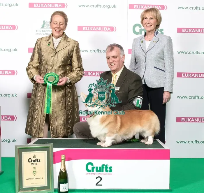 Framed Print : Crufts 2018 Framed Print : Crufts 2018