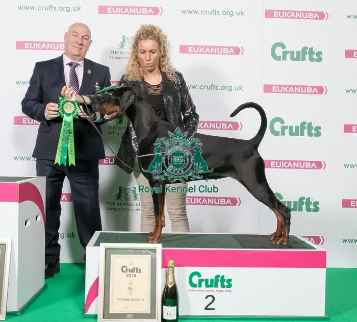 Framed Print : Crufts 2018
