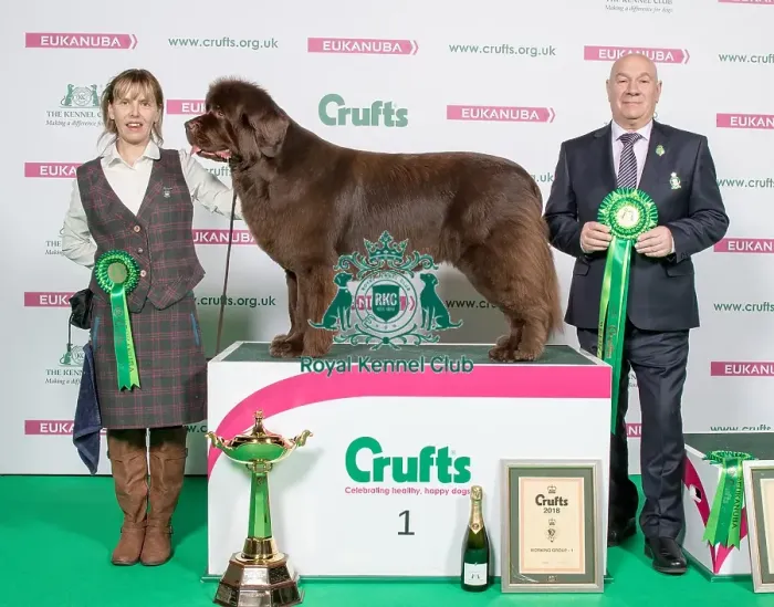 Framed Print : Crufts 2018 Framed Print : Crufts 2018