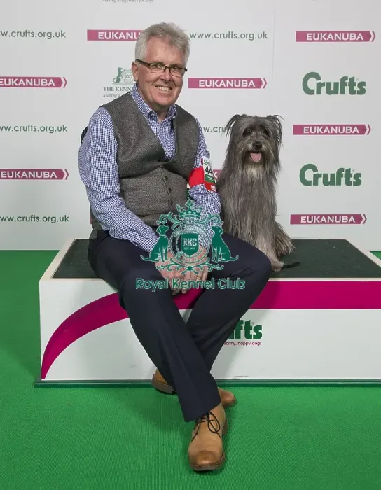 Framed Print : Crufts 2018 Framed Print : Crufts 2018