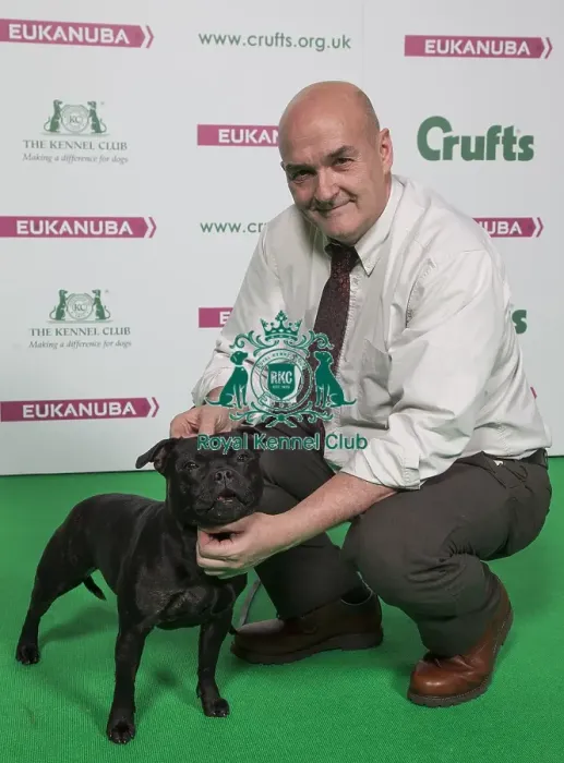 Framed Print : Crufts 2018 Framed Print : Crufts 2018