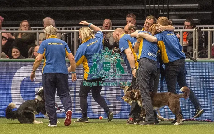 Framed Print : Crufts 2018 Framed Print : Crufts 2018