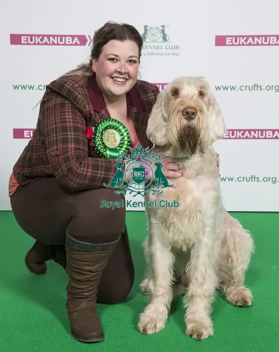 Framed Print : Crufts 2018 Framed Print : Crufts 2018