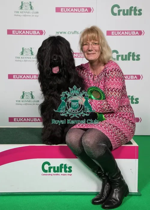 Framed Print : Crufts 2018 Framed Print : Crufts 2018