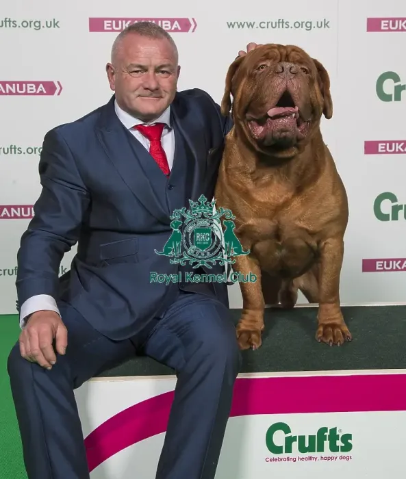 Framed Print : Crufts 2018 Framed Print : Crufts 2018