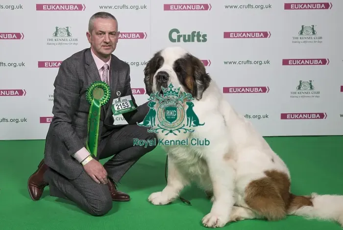 Framed Print : Crufts 2018 Framed Print : Crufts 2018