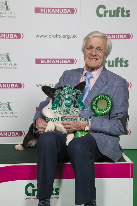Framed Print : Crufts 2018 Framed Print : Crufts 2018