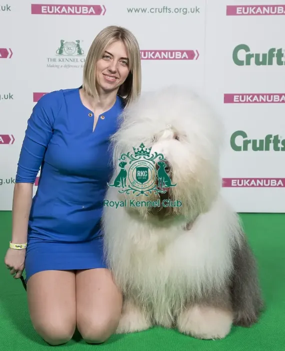 Framed Print : Crufts 2018