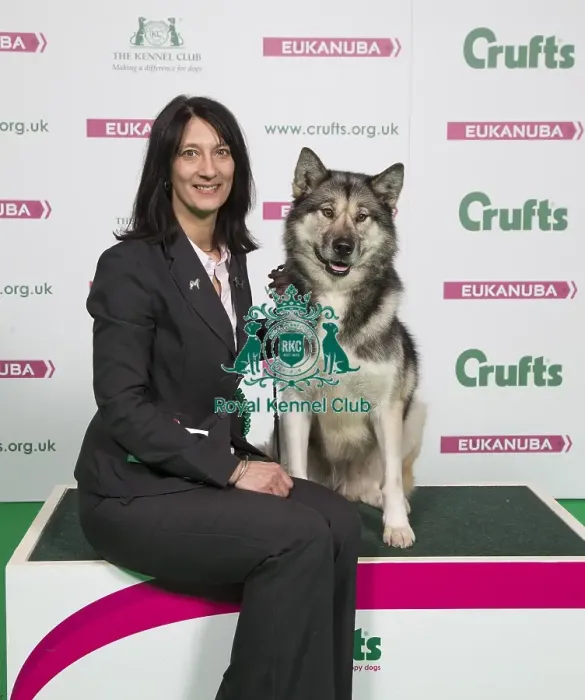 Framed Print : Crufts 2018 Framed Print : Crufts 2018