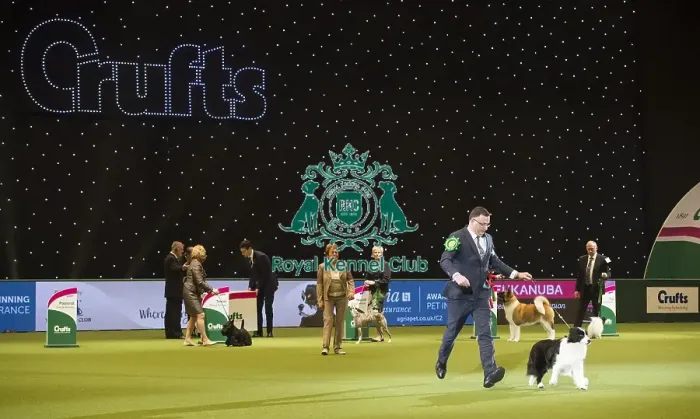 Framed Print : Crufts 2018