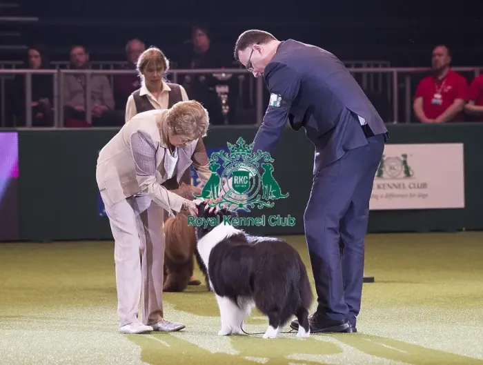 Framed Print : Crufts 2018 Framed Print : Crufts 2018