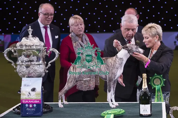 Framed Print : Crufts 2018
