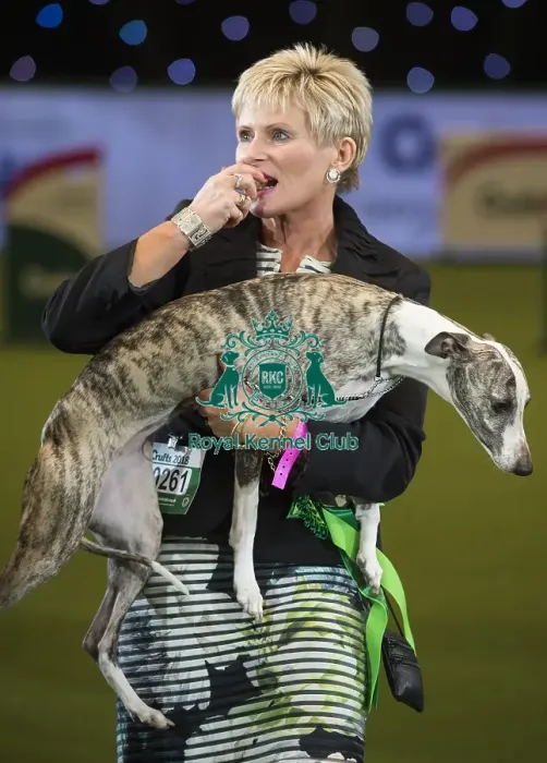 Framed Print : Crufts 2018 Framed Print : Crufts 2018