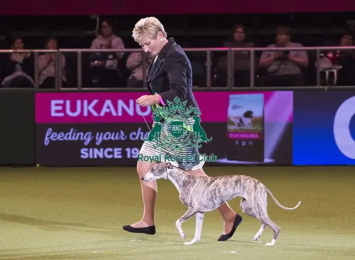 Framed Print : Crufts 2018 Framed Print : Crufts 2018