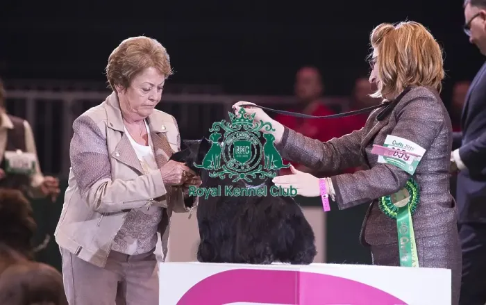 Framed Print : Crufts 2018 Framed Print : Crufts 2018
