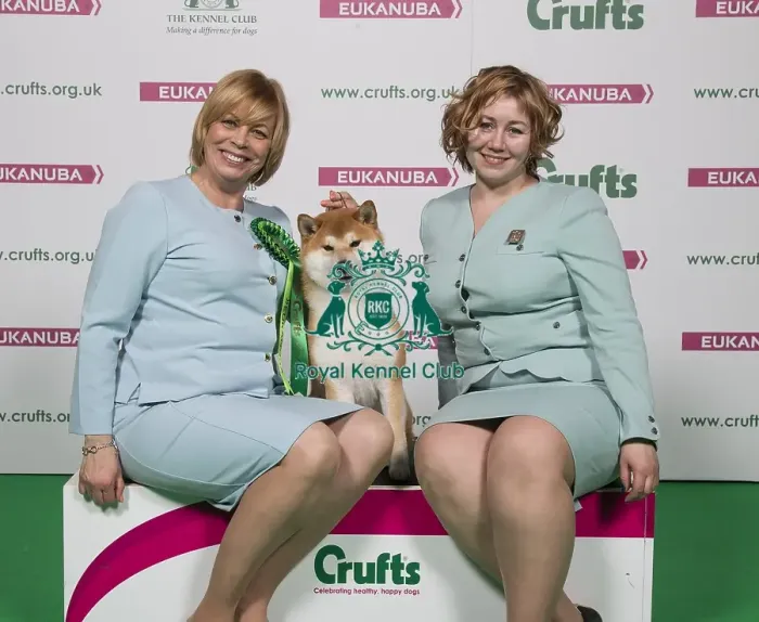 Framed Print : Crufts 2018 Framed Print : Crufts 2018