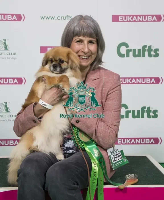 Framed Print : Crufts 2018 Framed Print : Crufts 2018