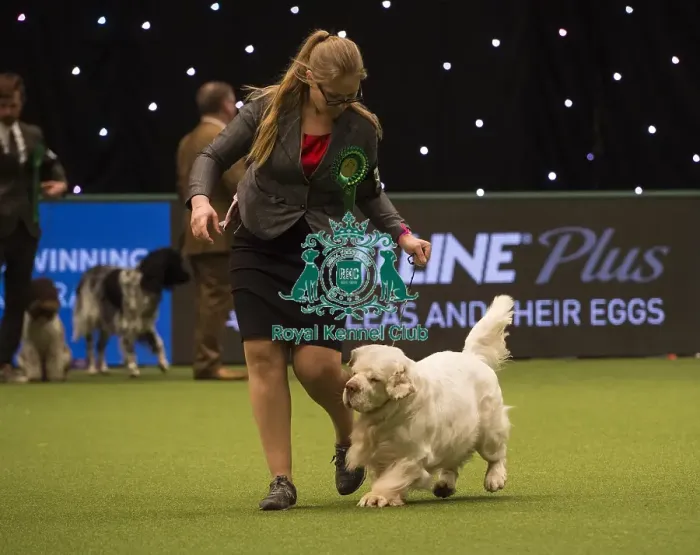 Framed Print : Crufts 2018 Framed Print : Crufts 2018