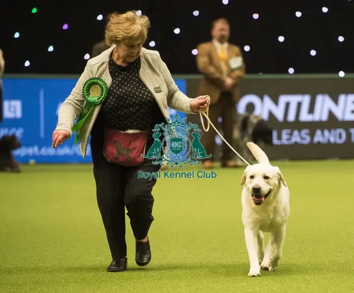 Framed Print : Crufts 2018 Framed Print : Crufts 2018