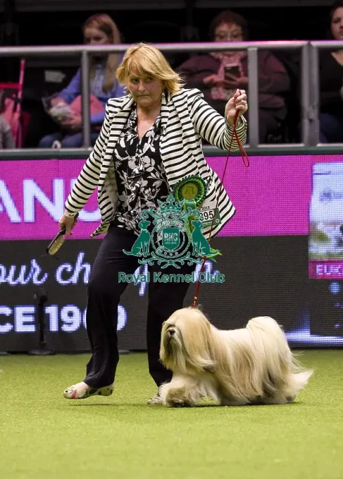 Framed Print : Crufts 2018