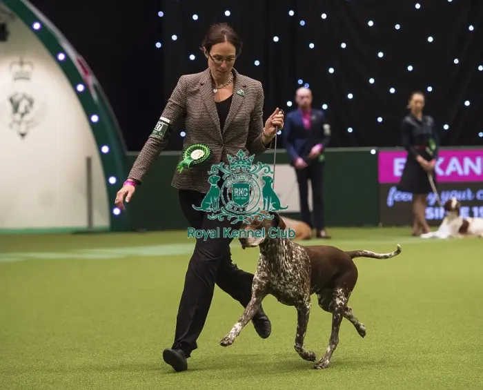 Framed Print : Crufts 2018