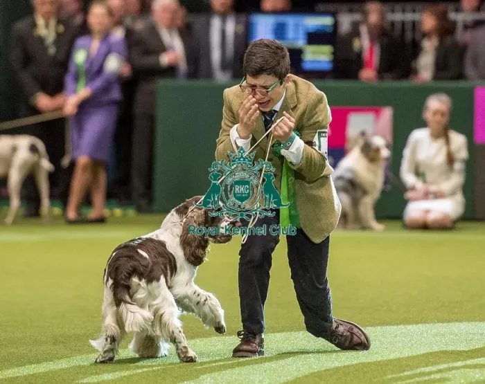 Framed Print : Crufts 2018 Framed Print : Crufts 2018