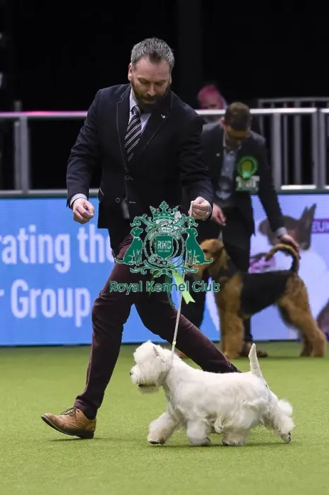 Framed Print : Crufts 2018