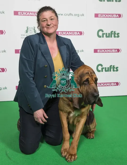Framed Print : Crufts 2018 Framed Print : Crufts 2018