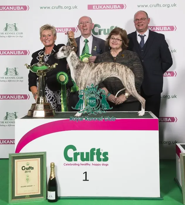 Framed Print : Crufts 2018 Framed Print : Crufts 2018