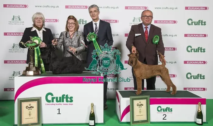 Framed Print : Crufts 2018 Framed Print : Crufts 2018
