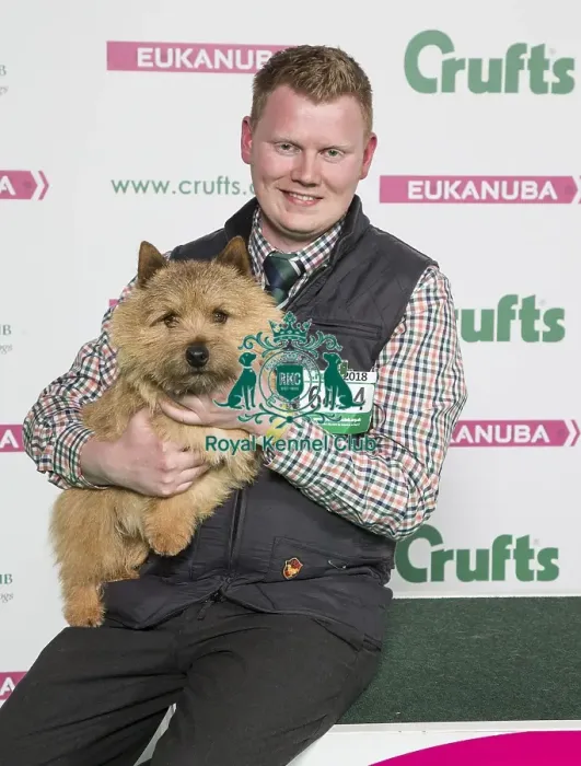 Framed Print : Crufts 2018