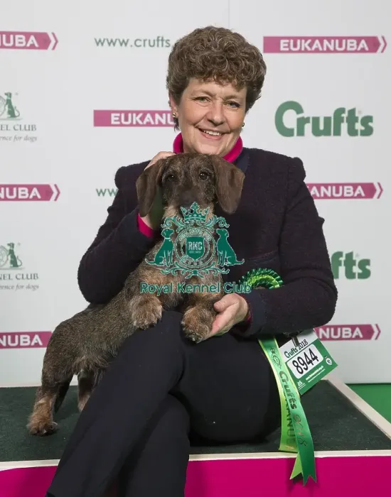 Framed Print : Crufts 2018 Framed Print : Crufts 2018