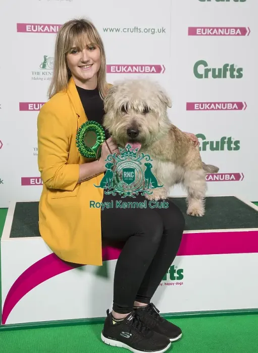 Framed Print : Crufts 2018 Framed Print : Crufts 2018