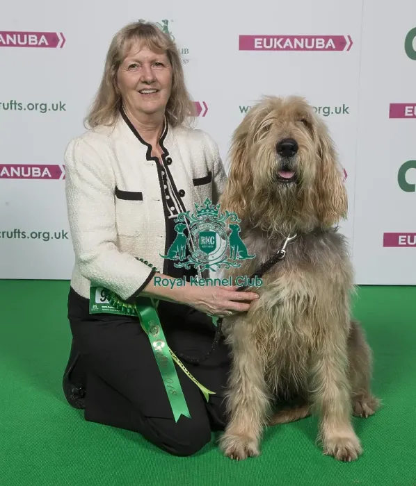 Framed Print : Crufts 2018 Framed Print : Crufts 2018