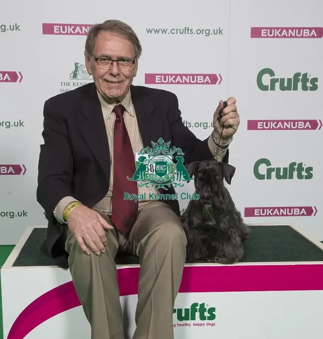 Framed Print : Crufts 2018 Framed Print : Crufts 2018