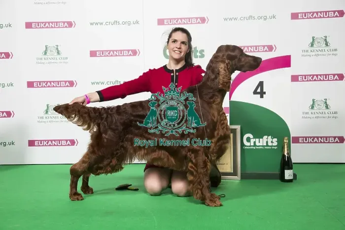 Framed Print : Crufts 2018 Framed Print : Crufts 2018