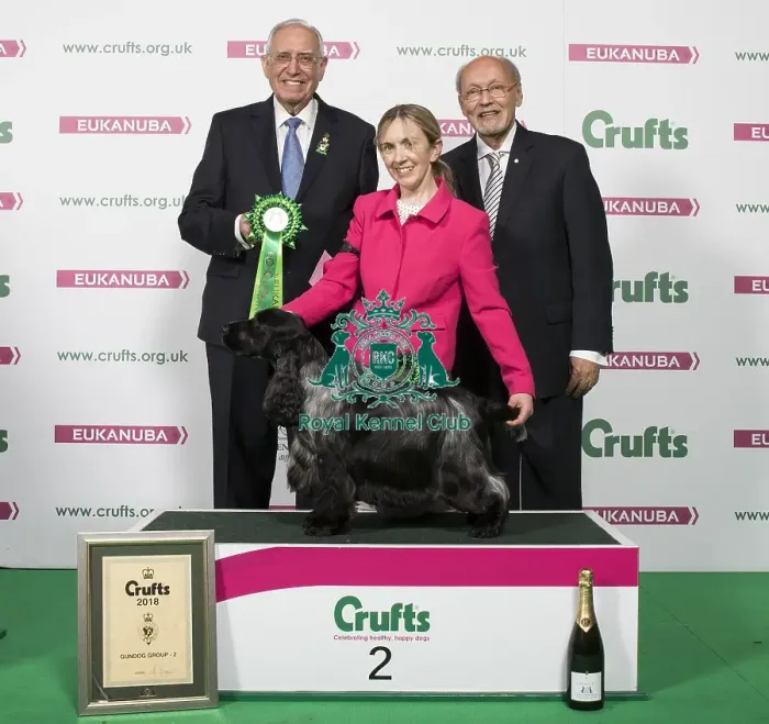 Framed Print : Crufts 2018 Framed Print : Crufts 2018