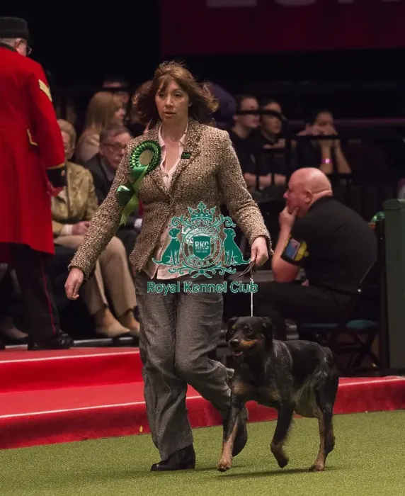 Framed Print : Crufts 2018 Framed Print : Crufts 2018