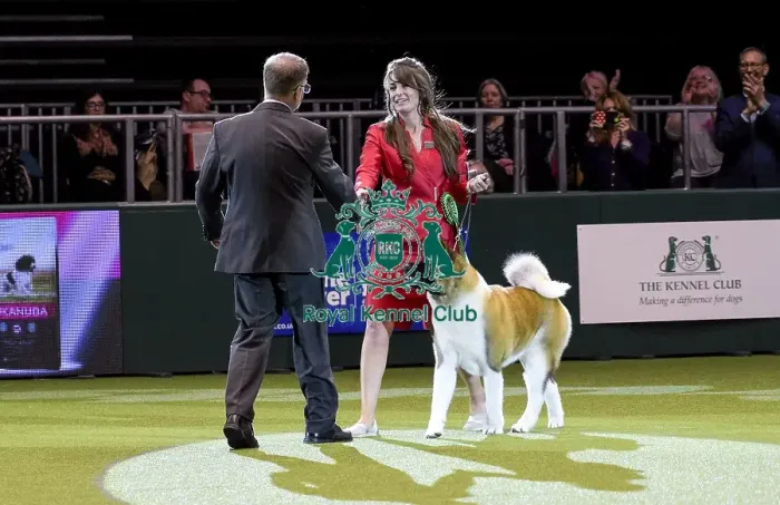 Framed Print : Crufts 2018 Framed Print : Crufts 2018