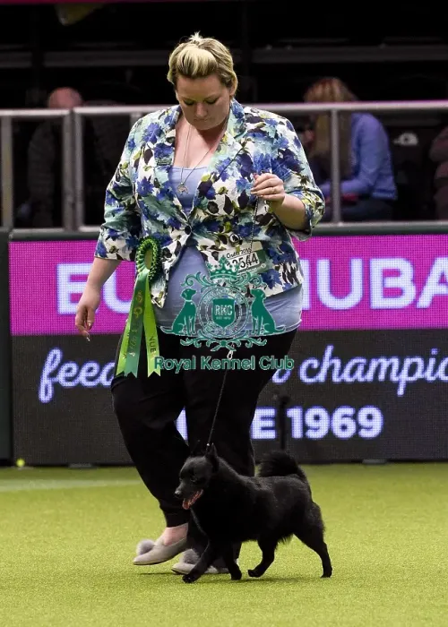 Framed Print : Crufts 2018 Framed Print : Crufts 2018