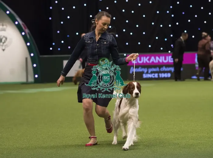 Framed Print : Crufts 2018