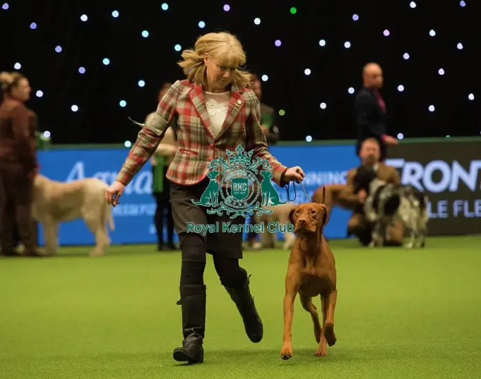 Framed Print : Crufts 2018 Framed Print : Crufts 2018