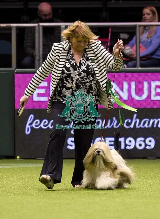 Framed Print : Crufts 2018