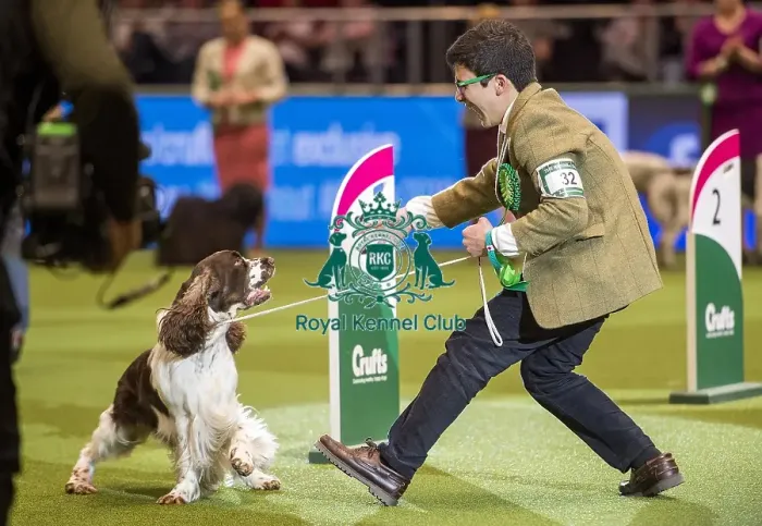 Framed Print : Crufts 2018 Framed Print : Crufts 2018