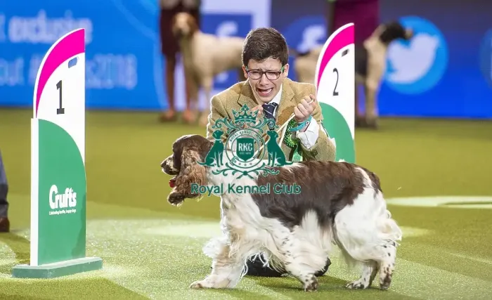 Framed Print : Crufts 2018 Framed Print : Crufts 2018